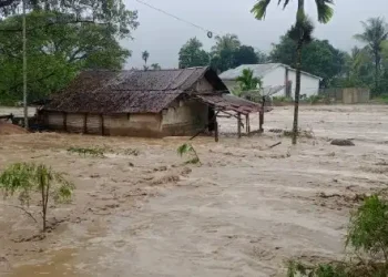 Foto: Korban Banjir Longsor Aceh Sumut Sumbar Tembus 659 Jiwa 6
