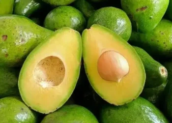 Foto: Makanan Tinggi Serat Pelancar BAB Alami 3