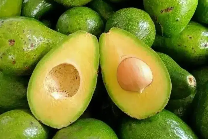 Foto: Buah alpukat sangat populer sebagai asupan penolong bagi penderita sembelit.(Istimewa)
