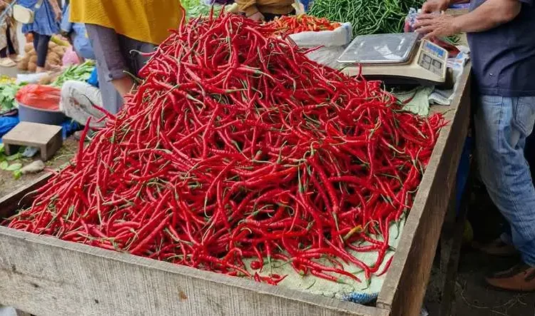 Foto: Ilustrasi cabai merah (Istimewa)