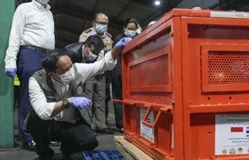 Foto: Pemerintah Thailand Serahkan Empat Orangutan 6