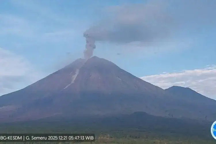 Foto: Gunung Semeru di perbatasan Kabupaten Lumajang dan Malang, Jawa Timur, Minggu (21/12/2025). (Foto: PVMBG)