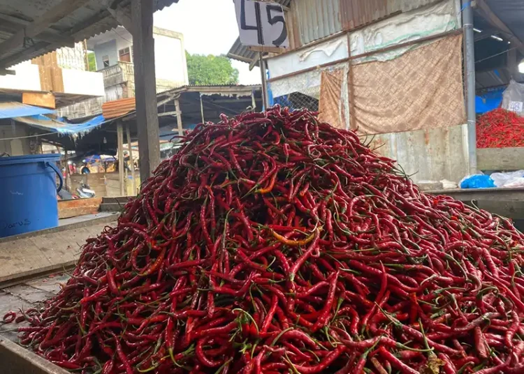 Foto: Ilustrasi cabai merah.(Istimewa)