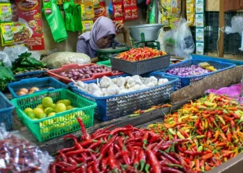 Foto: Harga Pangan di Sumut Turun Saat Hari Natal 9