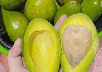 Foto: 7 Makanan Redakan Nyeri Sendi Penderita Asam Urat 3