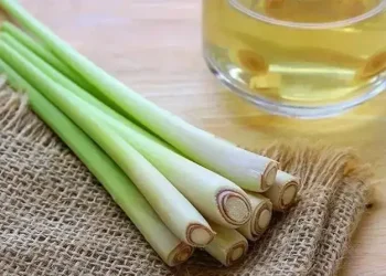 Foto: 6 Manfaat Air Rebusan Serai: Sehat Setiap Hari 6