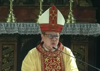 Foto: Kardinal Suharyo Pimpin Misa Natal di Katedral 3