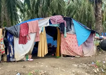 Foto: Tenda Terpal Jadi Tempat Mengungsi Korban Banjir 10