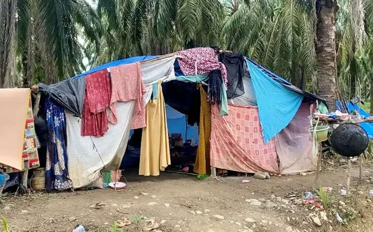 Foto: Warga terpaksa bertahan di pengungsian yang tidak layak dengan kondisi beratapkan terpal biru serta dinding yang terbuat dari balutan kain sarung seadanya.(Foto: AJNN/Putri Zuhra Furna)
