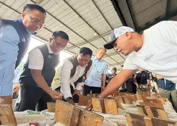 Foto: Bulog Pantau Harga Pangan Nasional 2026 6