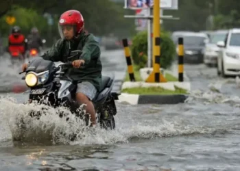 Foto: Tips Merawat Motor Honda Setelah Terendam Banjir, Bisa Dilakukan di Rumah 4