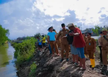 Foto: Rico Waas Tinjau Tanggul Jebol, Atasi Banjir Rob 7