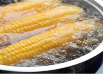 Manfaat Air Rebusan Jagung untuk Tubuh