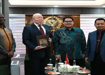 BKSAP: Afsel Rujukan Penting Indonesia di PBB