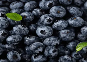 Pemberian Buah pada Anak Tidak Menjamin Kesehatan