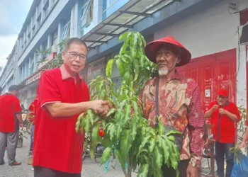Peringatan HUT ke-79 Megawati, Sofyan Tan Tanam Pohon dan Bagikan 79 Tumpeng