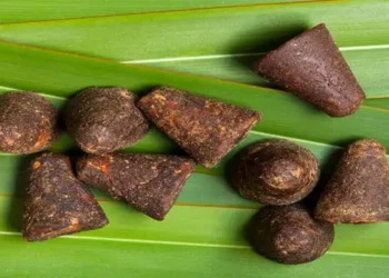 Foto: Gula Merah untuk Diabetes Apakah Aman? 1
