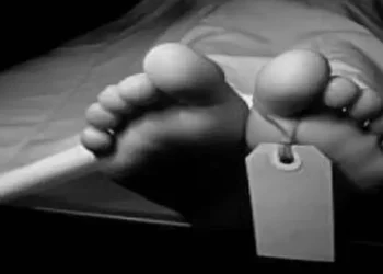 Siswa SD Tewas Tertimpa Pohon di Padangsidimpuan