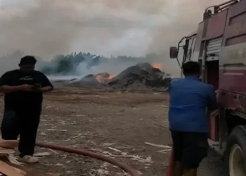 Kebakaran Melanda Pabrik Pembuatan Triplek