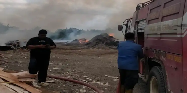 Foto: Kebakaran Melanda Pabrik Pembuatan Triplek