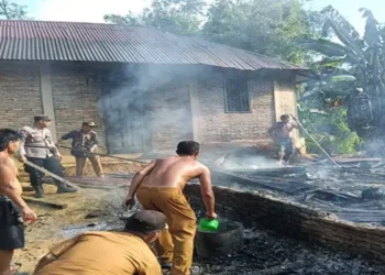 Foto: Kebakaran Hanguskan Rumah di Manduamas Tapteng 1