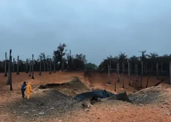 Foto: TGI Pulihkan Jaringan Pipa Gas di Indragiri Hilir 3