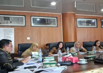 2028 Kota Medan Akan Miliki Pembangkit Listrik Tenaga Sampah
