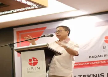 Foto: Sofyan Tan Paparkan Tahapan Cegah Stunting 6