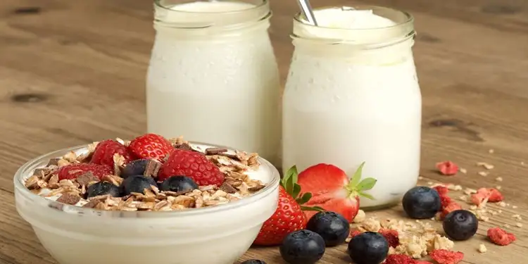 Foto: Yogurt diproses melalui fermentasi susu menggunakan bakteri asam laktat dan bifidobacteria.(Dok:Freepik)