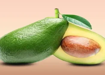 Nutrisi Harian Tentukan Kesehatan Kulit