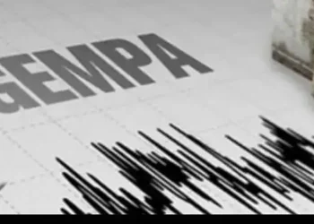 Foto: Gempa M 5,9 Guncang Laut Tanimbar Pagi Ini 8