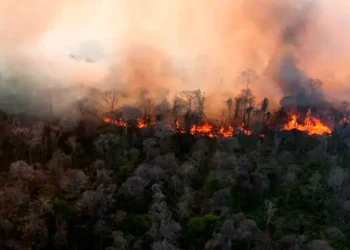Foto: BMKG Deteksi Titik Panas di Aceh Timur 5