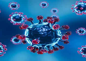 Foto: Perempuan Bangladesh Tewas Akibat Virus Nipah 7