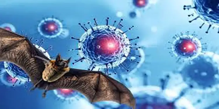 Foto: ilustrasi virus nipah.(Foto:radarmojokerto)