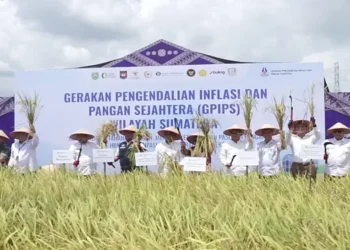 Foto: Strategi Baru Jaga Stabilitas Harga Pangan 6