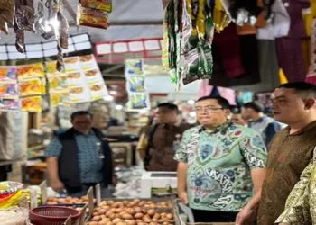 Foto: Pantau Stok Pangan Jelang Ramadan, Dewas Bulog Lakukan Sidak di Pasar Kota Medan 3
