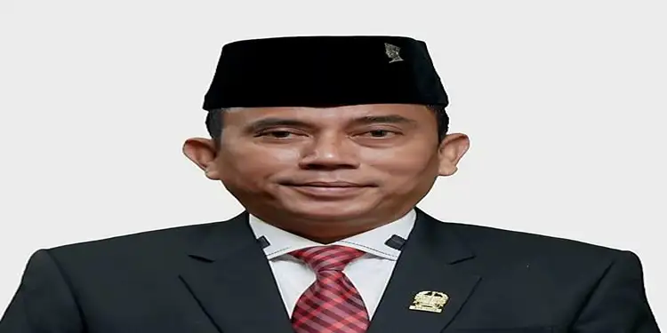 Foto: Sekretaris Fraksi PDIP DPRD Kota Medan Paul Mei Anton Simanjuntak.(Ist)