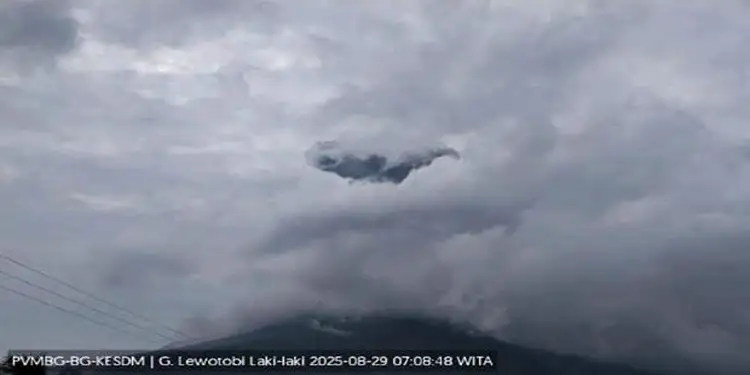 Foto: Gunung Lewotobi Laki-laki.(Foto: PVMBG/inews.id)