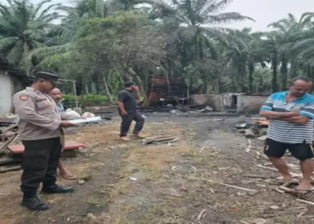 Foto: Insiden Kebakaran Dapur Tahu di Langkat, Pemilik Alami Kerugian Hingga Puluhan Juta Rupiah 9