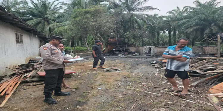 Foto: Dapur pengolahan tahu usaha rumahan di Dusun IV Sidorejo, Desa Sido Makmur, Kecamatan Kuala, Kabupaten Langkat ludes terbakar pada Rabu (11/3/2026).(Istimewa)