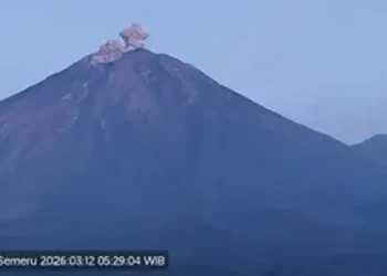 Foto: Aktivitas Vulkanik Meningkat, Gunung Semeru Tercatat Mengalami Empat Kali Erupsi pada Kamis Pagi 8