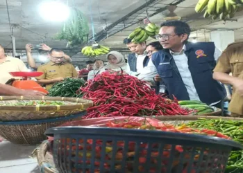 Foto: Update Harga Pangan Medan Hari Ini: Cabai Merah Turun dan Cabai Rawit Mulai Naik Pascalibur Lebaran 2026 10