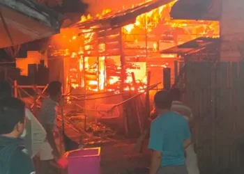 Foto: Kebakaran Hebat Hanguskan Rumah Semi Permanen di Komplek SD Negeri 173551 Laguboti 10