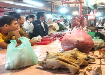 Foto: Aktivitas Perdagangan di Pasar Simpang Limun Medan Lesu pada H-2 Lebaran 5