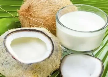 Foto: Panduan Sehat Mengonsumsi Santan: Manfaat, Risiko, dan Batas Aman Konsumsi 6