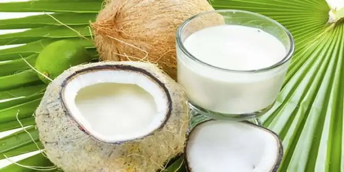Foto: ilustrasi santan kelapa.