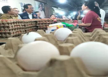 Foto: KPPU Kanwil I Pantau Stabilitas Harga Pangan di Pasar Tradisional Medan 10