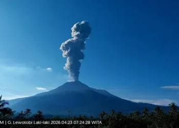 Foto: Gunung Lewotobi Laki Laki Erupsi Kolom Abu 1800 Meter Bandara Maumere Ditutup Sementara 6