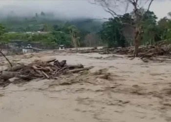 Foto: Akses Lima Desa Terputus Akibat Jembatan Darurat Ambruk Diterjang Banjir di Aceh 3