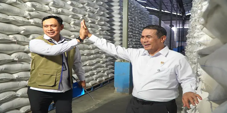 Foto: Bulog Sumut Catat Stok Beras Tertinggi Sepanjang Sejarah Capai 63 Ribu Ton Dukung Swasembada Pangan 1